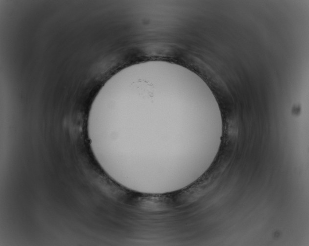 X0000101200567200807181538