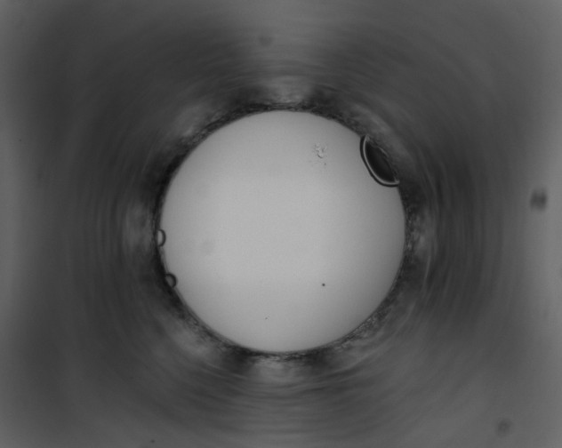 X0000101200568200807181538