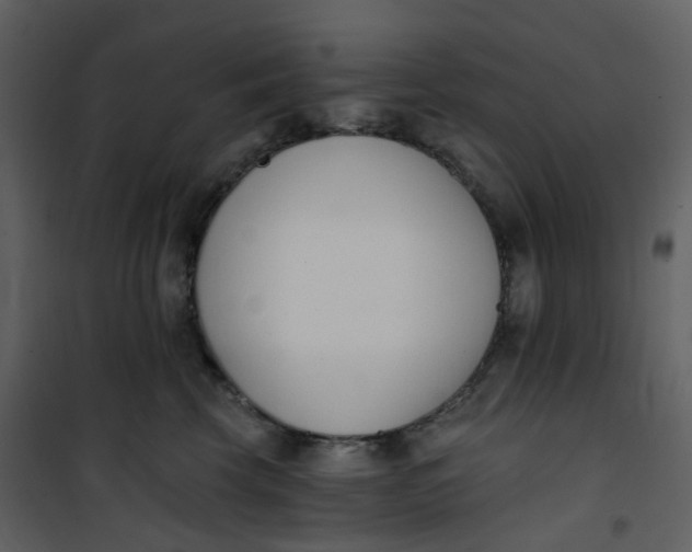 X0000101200569200807181538