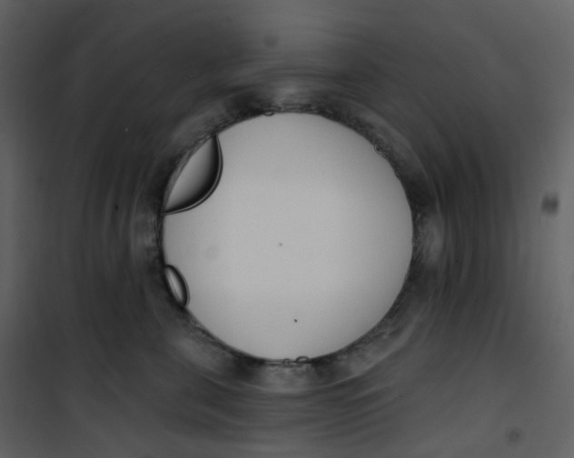 X0000101200571200807181538