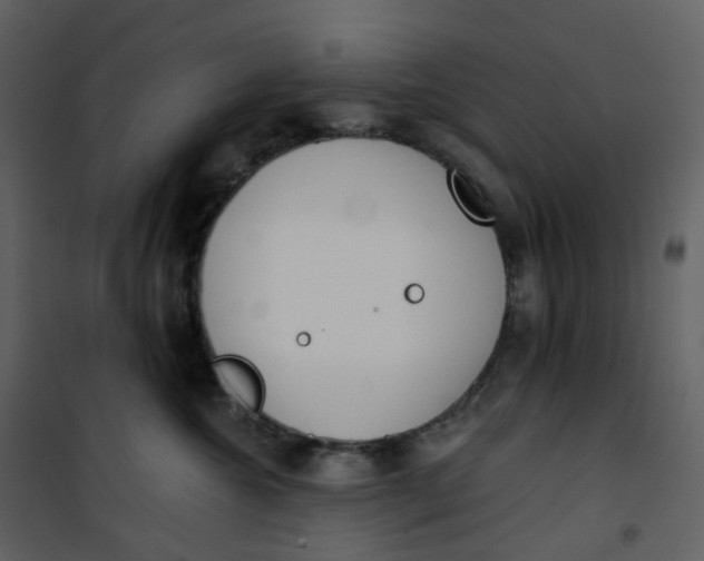 X0000101200572200807181538