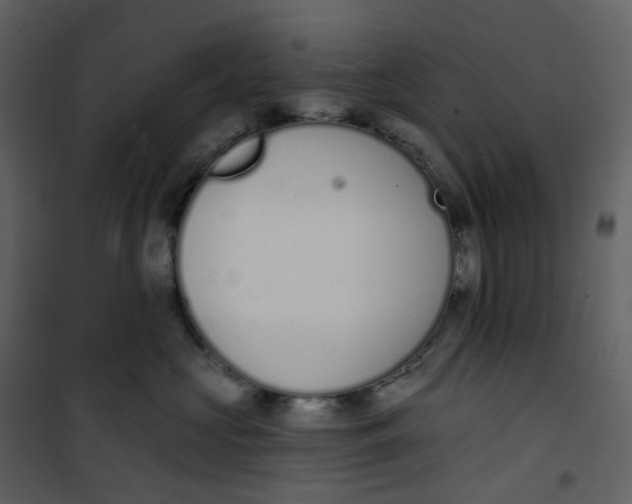 X0000101200573200807181538