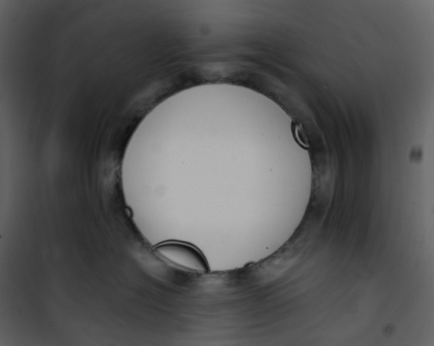 X0000101200574200807181538