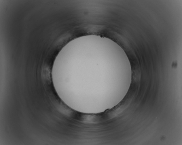 X0000101200575200807181538