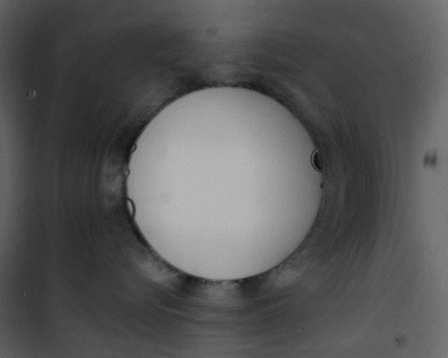 X0000101200576200807181538