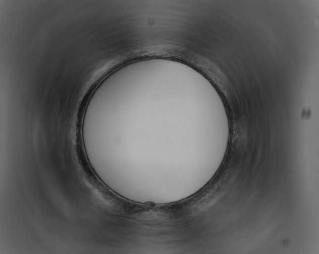 X0000101200578200807181537