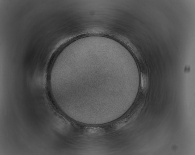 X0000101200579200807181537