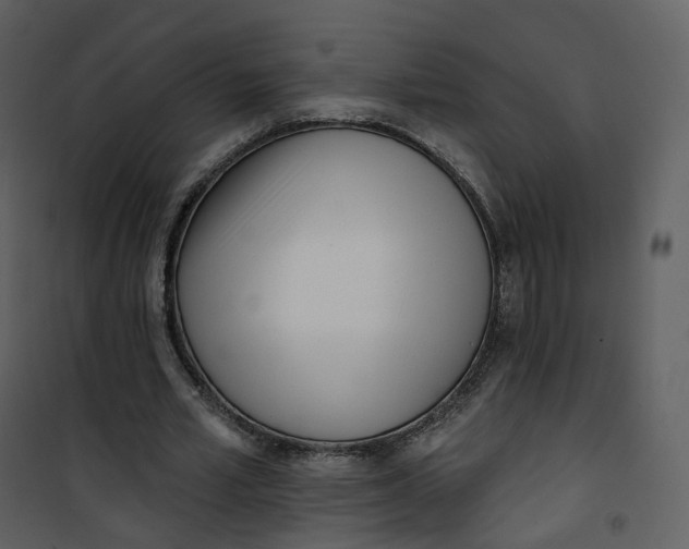 X0000101200581200807181537