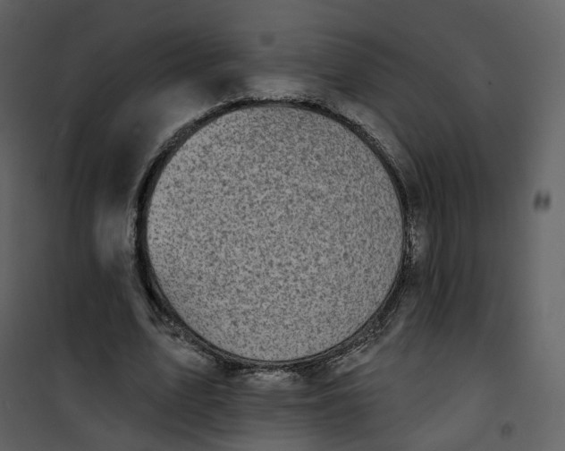 X0000101200583200807181537