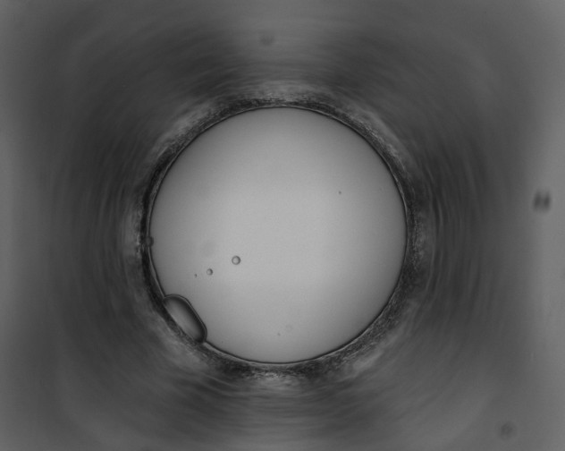 X0000101200585200807181537