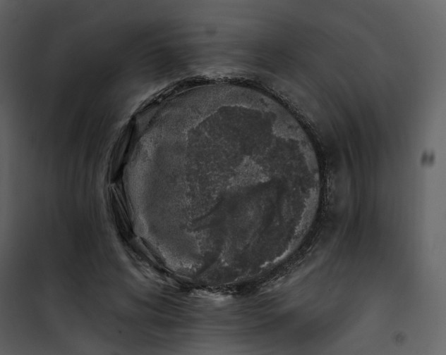 X0000101200592200807181537