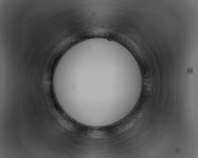 X0000101200593200807181537