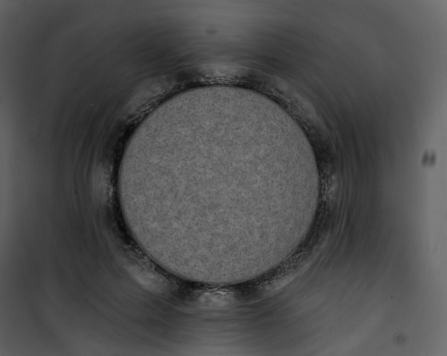 X0000101200599200807181537