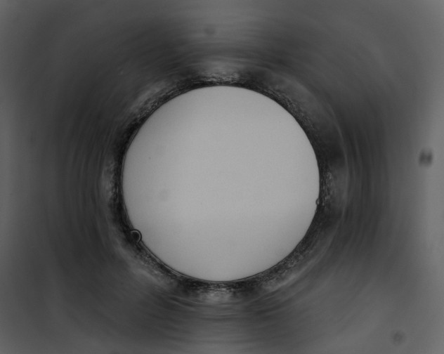 X0000101200600200807181537