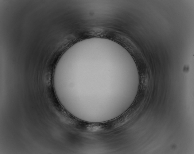 X0000101200602200807181537