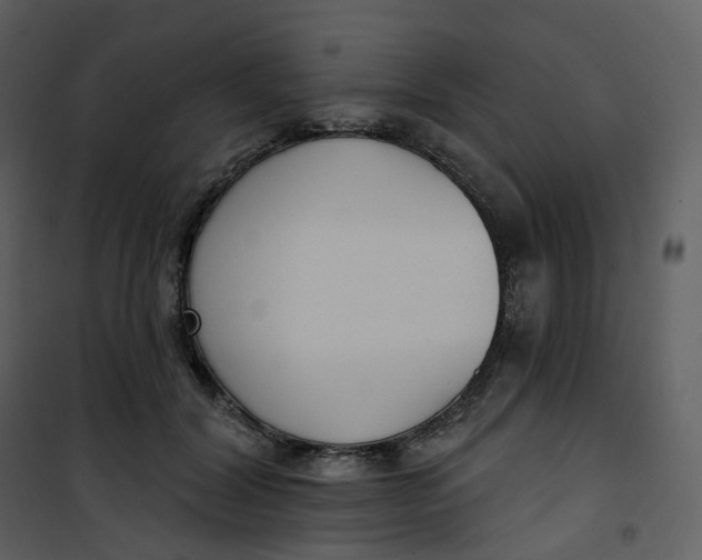 X0000101200604200807181537