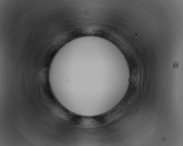 X0000101200605200807181537