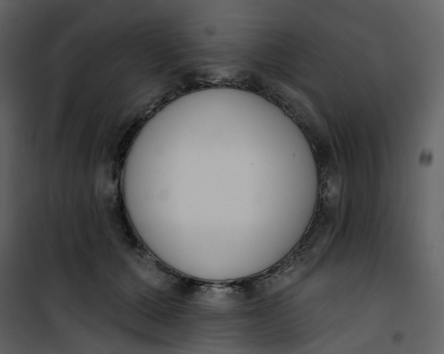 X0000101200607200807181537