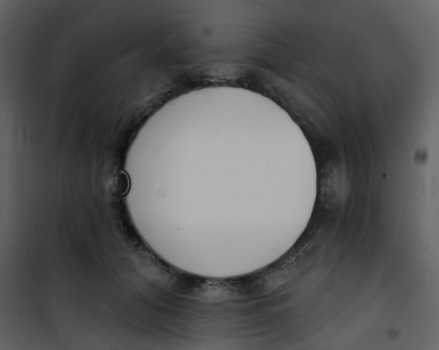 X0000101200608200807181537