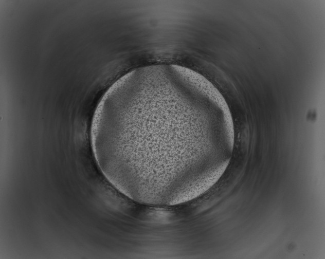 X0000101200610200807181537