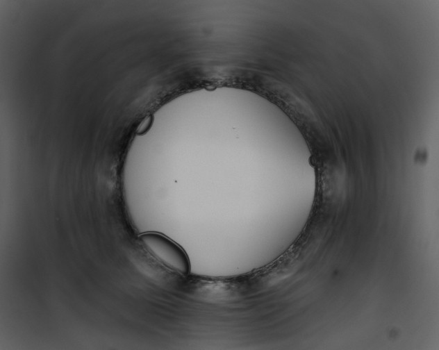 X0000101200611200807181537