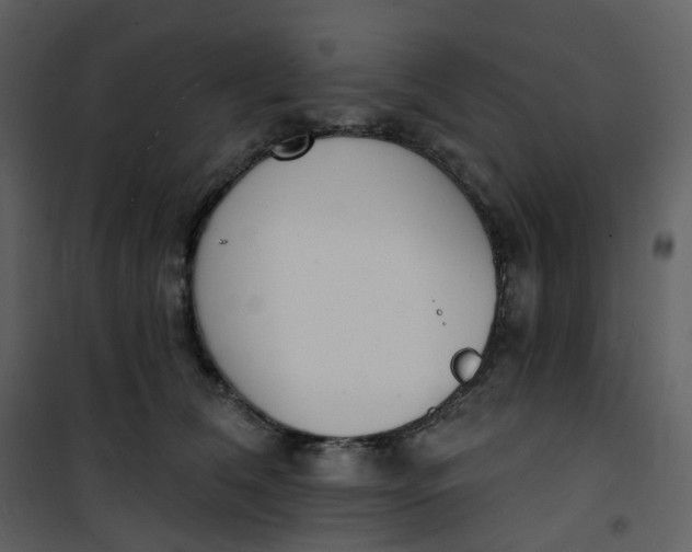 X0000101200612200807181537