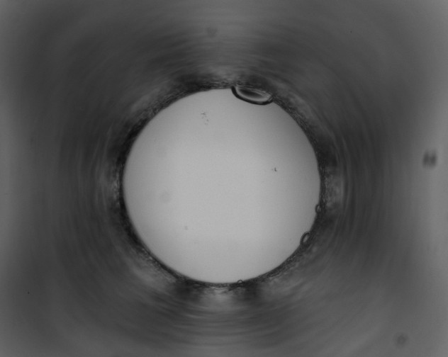 X0000101200613200807181537