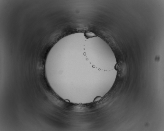 X0000101200614200807181537