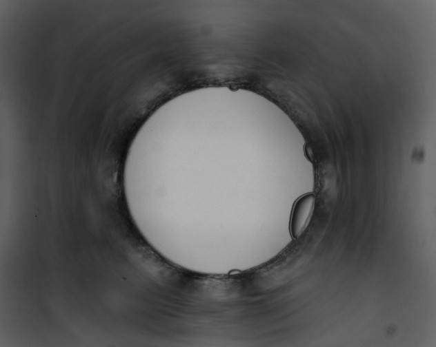 X0000101200615200807181537