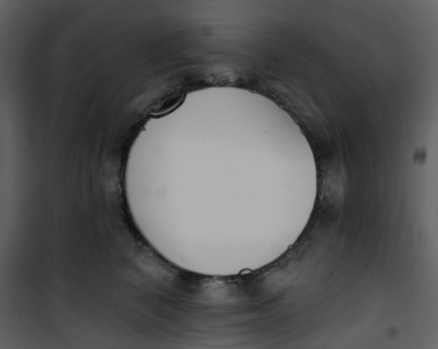 X0000101200616200807181536