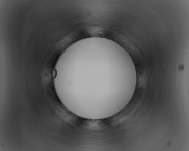 X0000101200618200807181536