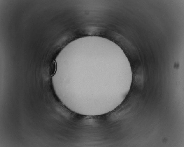 X0000101200620200807181536