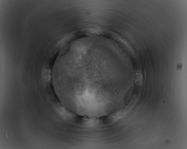 X0000101200621200807181536