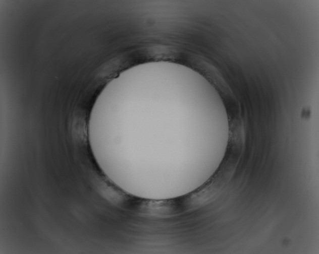 X0000101200622200807181536