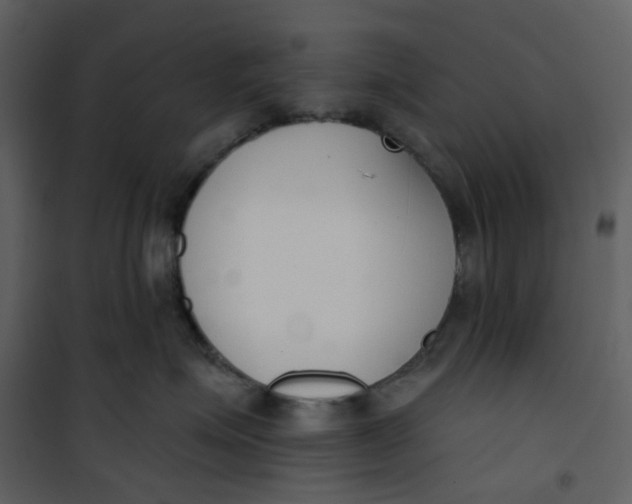 X0000101200623200807181536