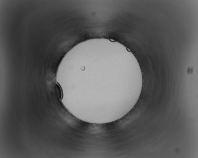 X0000101200624200807181536