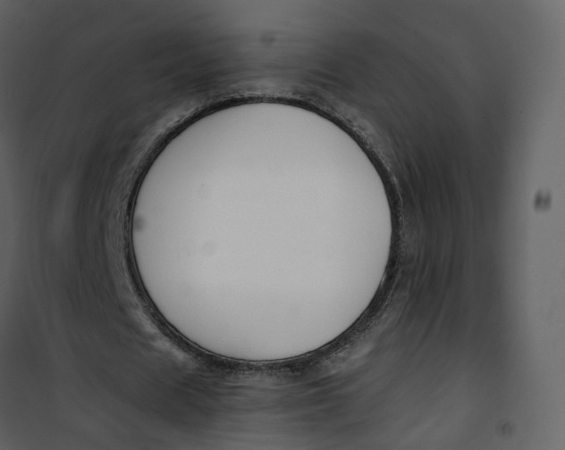 X0000101200625200807181535