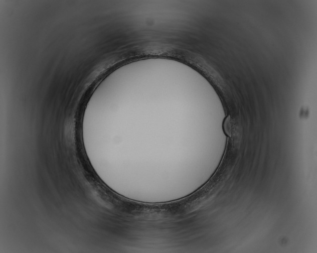 X0000101200626200807181535