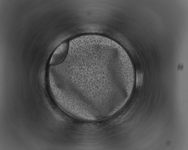 X0000101200627200807181535