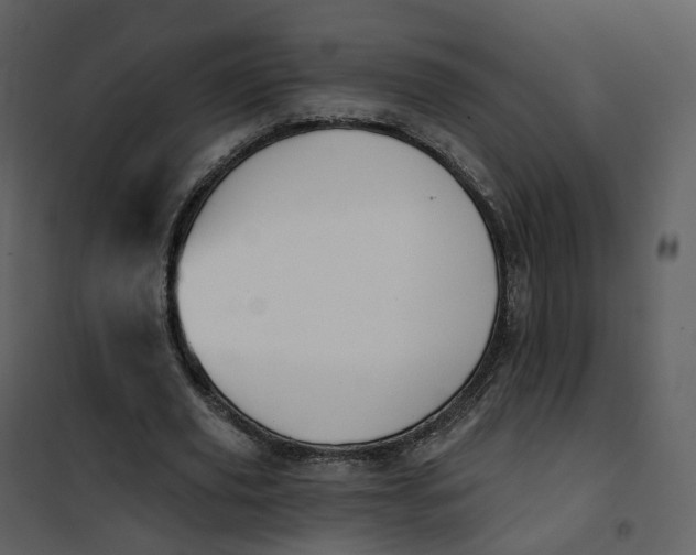 X0000101200629200807181535