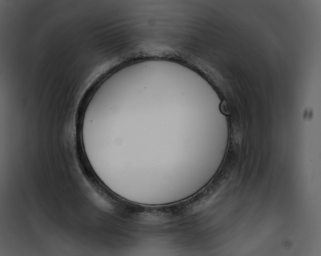 X0000101200630200807181535