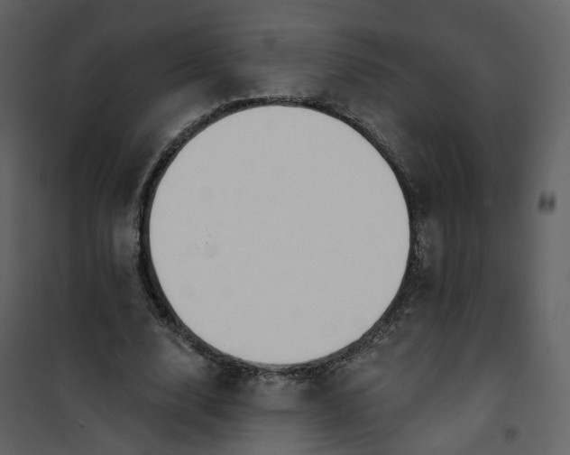 X0000101200632200807181535