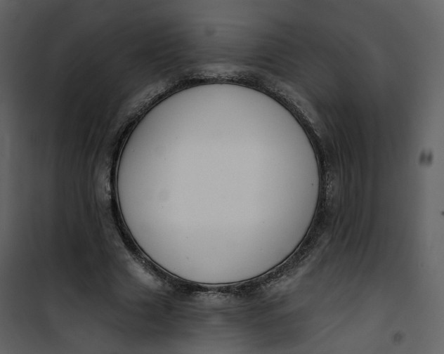 X0000101200633200807181536