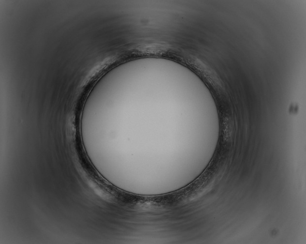 X0000101200634200807181536