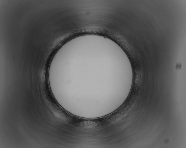 X0000101200636200807181536