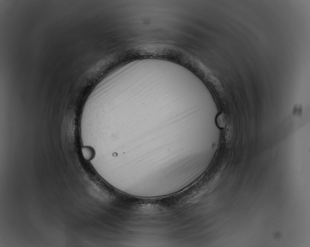 X0000101200637200807181536