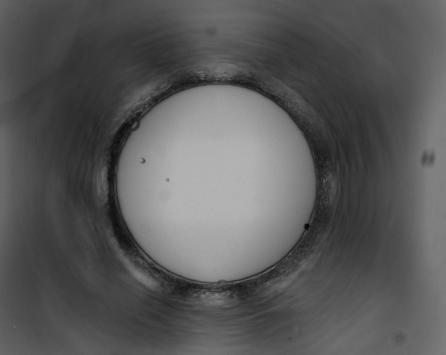 X0000101200638200807181536