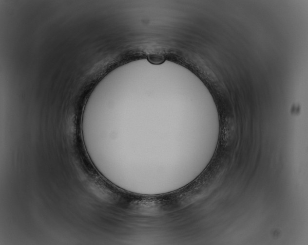 X0000101200639200807181536