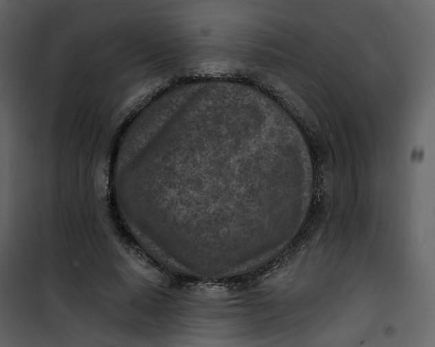 X0000101200640200807181536