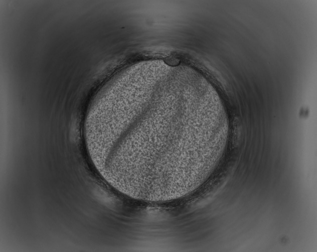 X0000101200641200807181536